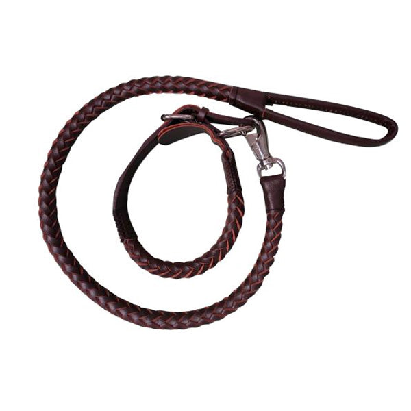 LAISSE CUIR 1,2 M + COLLIER  | Casse les prix