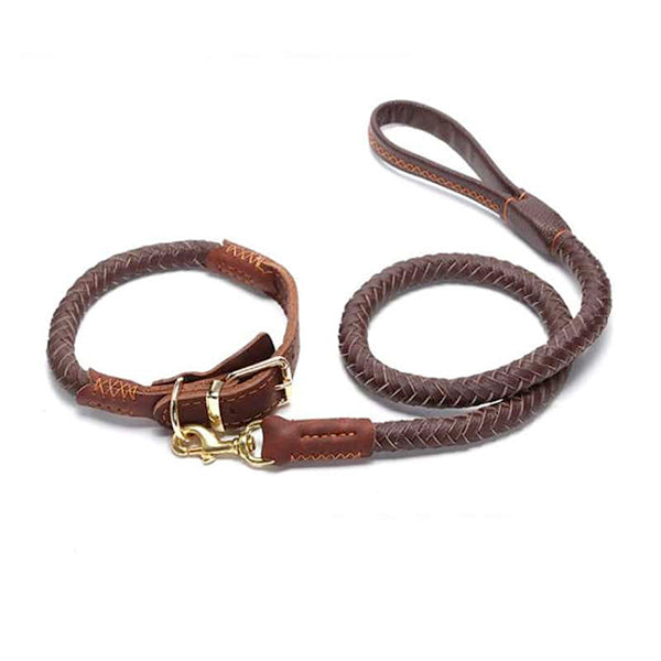 LAISSE CUIR 1,2 M + COLLIER  | Casse les prix