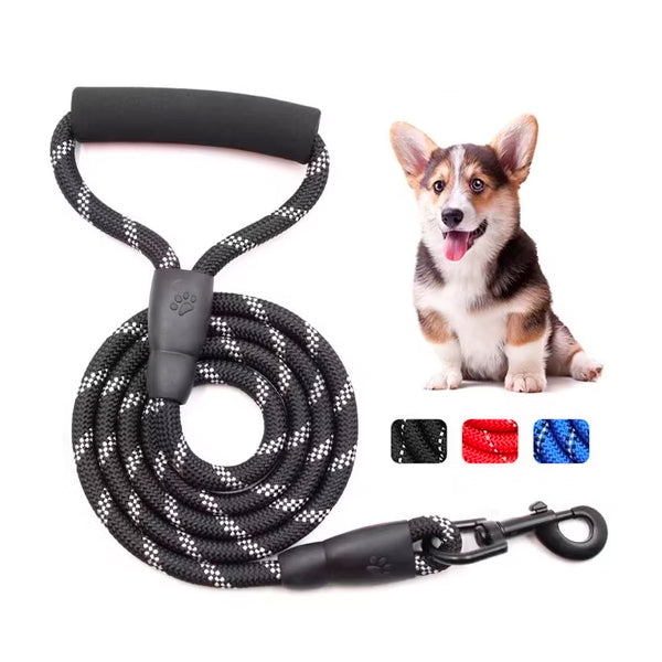 LAISSE NYLON TRESSEE 1,2 M AVEC POIGNEE  | Casse les prix