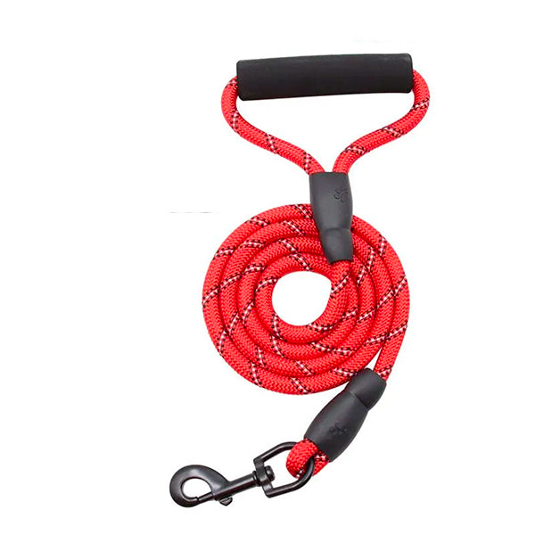 LAISSE NYLON TRESSEE 1,2 M AVEC POIGNEE  | Casse les prix