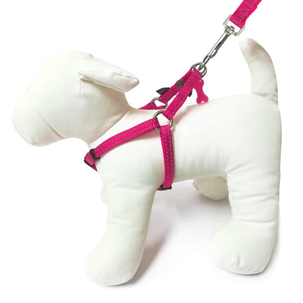 HARNAIS PETIT CHIEN + LAISSE  | Casse les prix