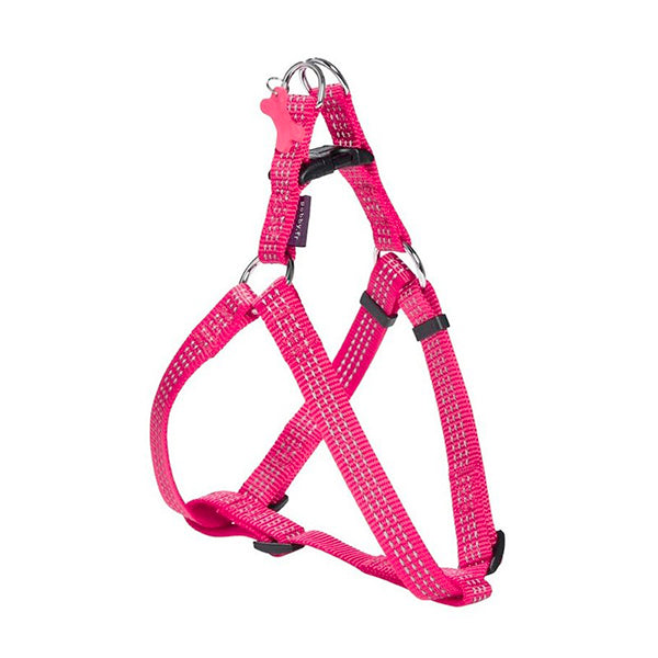 HARNAIS PETIT CHIEN + LAISSE  | Casse les prix